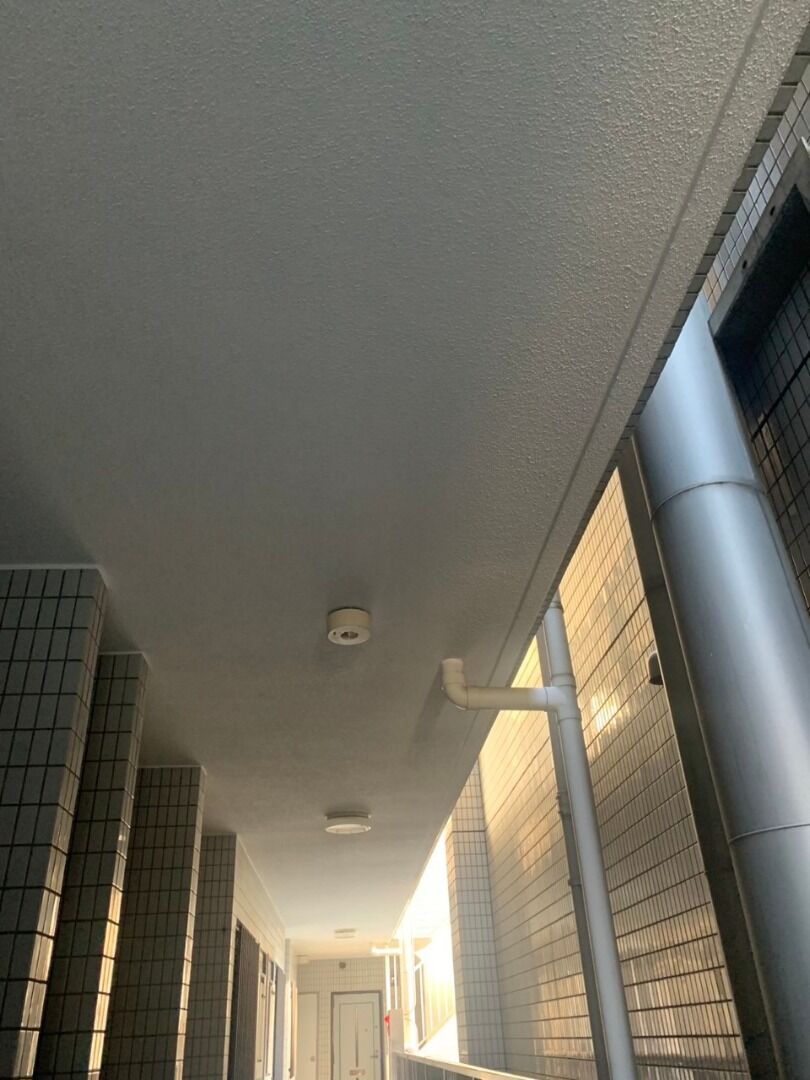天井塗装①